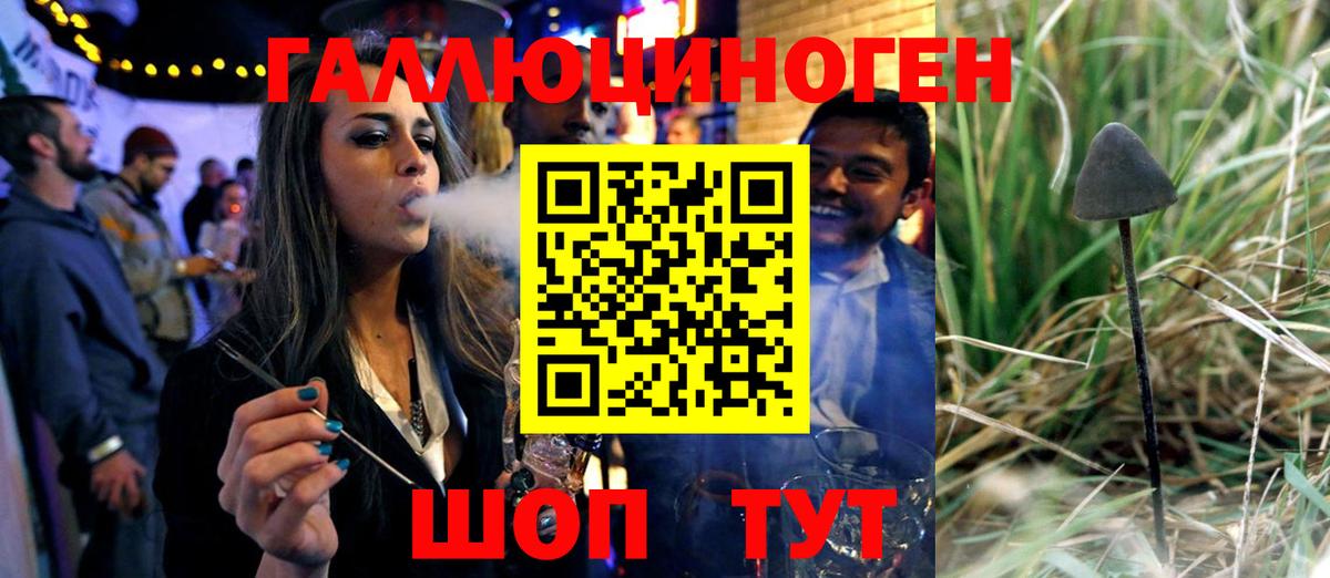 Фрязино  Галлюциногенные грибы MAGIC MUSHROOMS  купить   Галлюциногенные грибы GOLDEN TEACHER  Вход с VPN 
